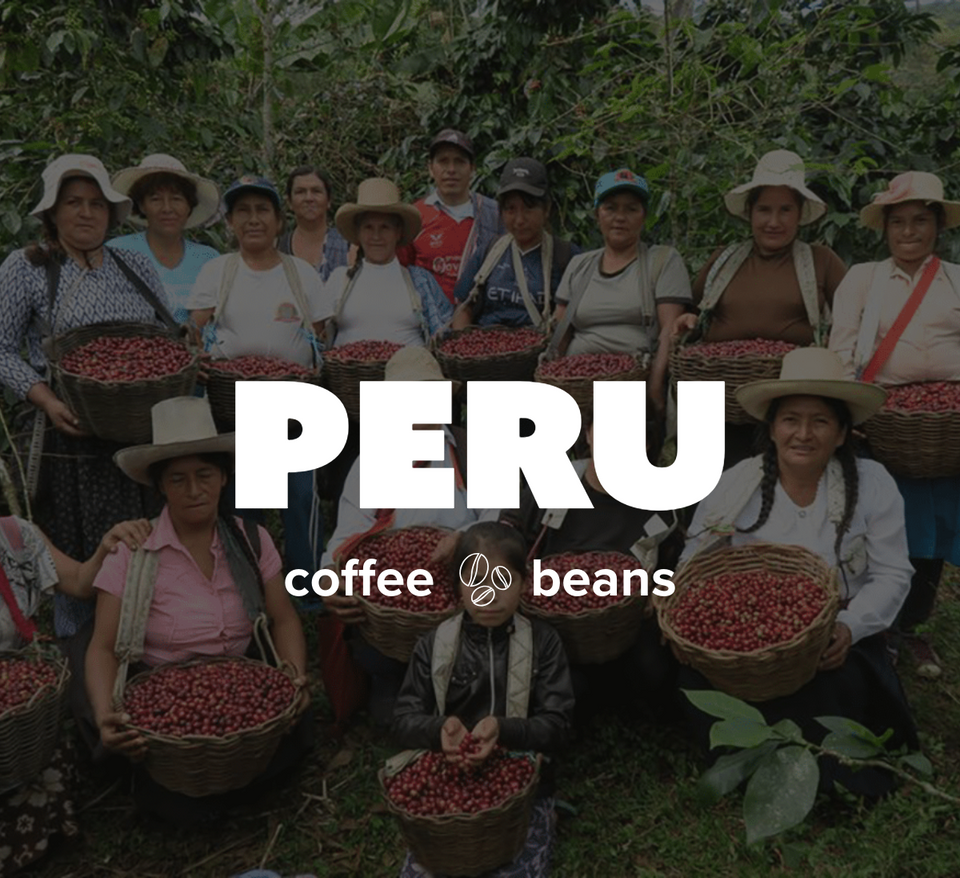 36OZ Random 6 x 6 OZ Sample Size Coffee Beans Roasted Espresso Coffee Supreme Finest Artisan Beans vary from Vanuatu Sumatra Ethiopia  Brazil Kenya Colombia Guatemala Burundi Costa Rica East Java El Salvador Honduras etc