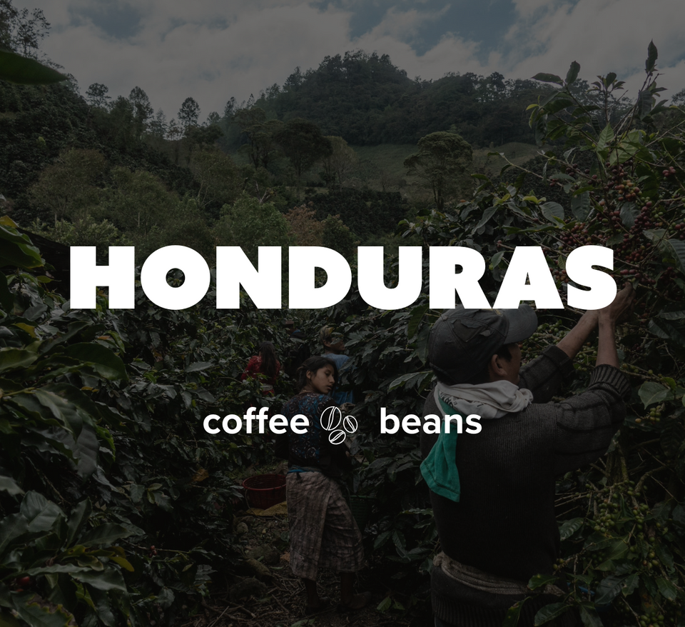 5LB Specialty Whole Bean and Ground Coffee Supreme Finest Artisan for Drips Cold Brew Espresso French Press Dark Medium Light Roast from Vanuatu Sumatra Ethiopia Brazil Kenya Colombia Guatemala Burundi Costa Rica Indonesia Java El Salvador Honduras etc