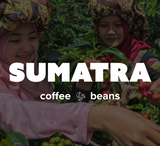16 OZ Specialty Whole Bean and Ground Coffee Supreme Finest Artisan for Drips Cold Brew Espresso French Press Dark Medium Light Roast from Vanuatu Sumatra Ethiopia Brazil Kenya Colombia Guatemala Burundi Costa Rica East Java El Salvador Honduras etc