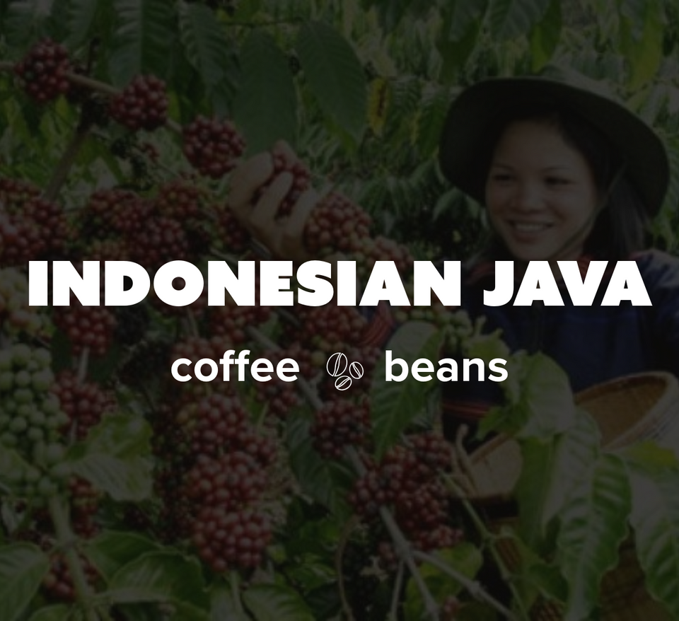 16 OZ Specialty Whole Bean and Ground Coffee Supreme Finest Artisan for Drips Cold Brew Espresso French Press Dark Medium Light Roast from Vanuatu Sumatra Ethiopia Brazil Kenya Colombia Guatemala Burundi Costa Rica East Java El Salvador Honduras etc
