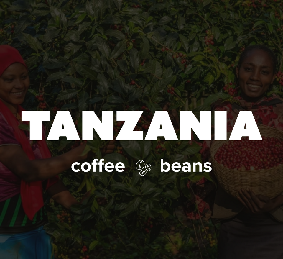 5LB Specialty Whole Bean and Ground Coffee Supreme Finest Artisan for Drips Cold Brew Espresso French Press Dark Medium Light Roast from Vanuatu Sumatra Ethiopia Brazil Kenya Colombia Guatemala Burundi Costa Rica Indonesia Java El Salvador Honduras etc