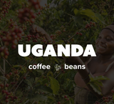 12 OZ Coffee Flavored & Nonflavored Organic Supreme Finest Premium American Espresso Breakfast Cold Brew House Vanilla Chocolate Hazelnut Pumpkin French Vanilla Ethiopia Colombia Sumatra Brazil more
