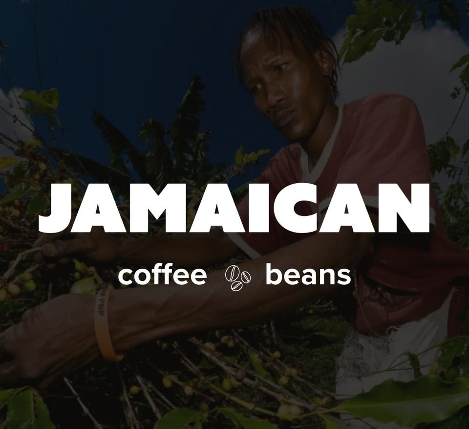 16 OZ Specialty Whole Bean and Ground Coffee Supreme Finest Artisan for Drips Cold Brew Espresso French Press Dark Medium Light Roast from Vanuatu Sumatra Ethiopia Brazil Kenya Colombia Guatemala Burundi Costa Rica East Java El Salvador Honduras etc