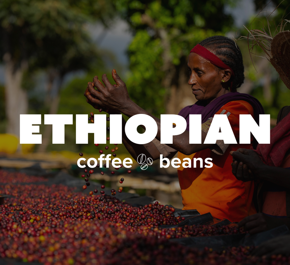 16 OZ Specialty Whole Bean and Ground Coffee Supreme Finest Artisan for Drips Cold Brew Espresso French Press Dark Medium Light Roast from Vanuatu Sumatra Ethiopia Brazil Kenya Colombia Guatemala Burundi Costa Rica East Java El Salvador Honduras etc