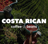 32 OZ 2LB Specialty Whole Bean and Ground Coffee Supreme Finest Artisan for Drips Cold Brew Espresso French Press Dark Medium Light Roast from Vanuatu Sumatra Ethiopia Brazil Kenya Colombia Guatemala Burundi Costa Rica East Java El Salvador Honduras etc