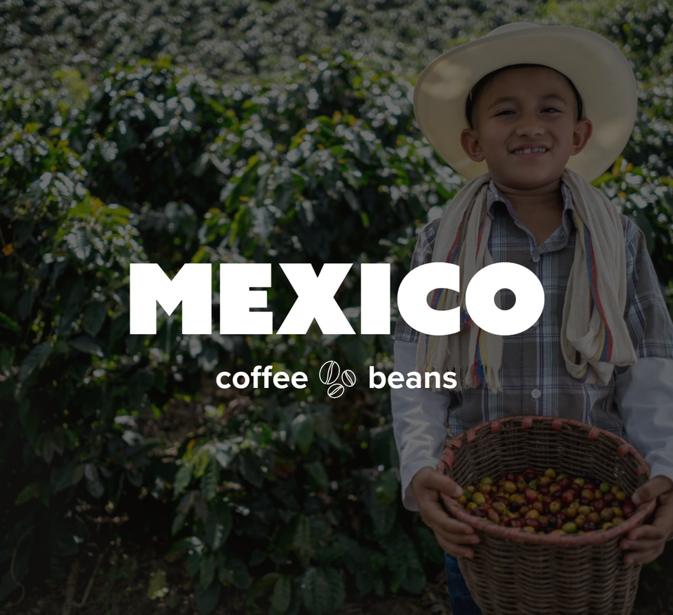 32 OZ 2LB Specialty Whole Bean and Ground Coffee Supreme Finest Artisan for Drips Cold Brew Espresso French Press Dark Medium Light Roast from Vanuatu Sumatra Ethiopia Brazil Kenya Colombia Guatemala Burundi Costa Rica East Java El Salvador Honduras etc