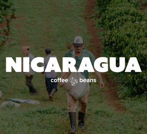 Chocolate Covered Coffee Beans Roasted Espresso Coffee Supreme Finest Artisan Beans vary from Vanuatu Sumatra Ethiopia Brazil Kenya Colombia Guatemala Burundi Costa Rica East Java El Salvador Honduras etc