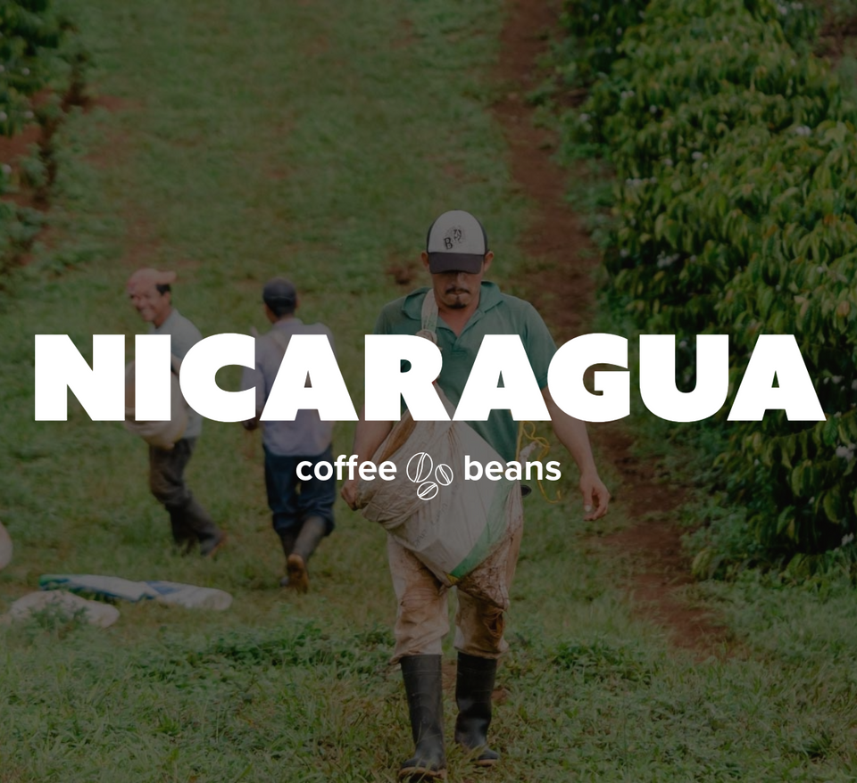 16 OZ Specialty Whole Bean and Ground Coffee Supreme Finest Artisan for Drips Cold Brew Espresso French Press Dark Medium Light Roast from Vanuatu Sumatra Ethiopia Brazil Kenya Colombia Guatemala Burundi Costa Rica East Java El Salvador Honduras etc
